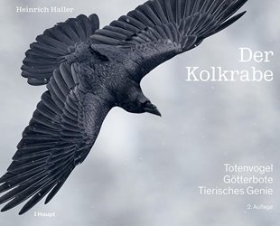 Bild von Haller, Heinrich: Der Kolkrabe - Totenvogel, Götterbote, tierisches Genie